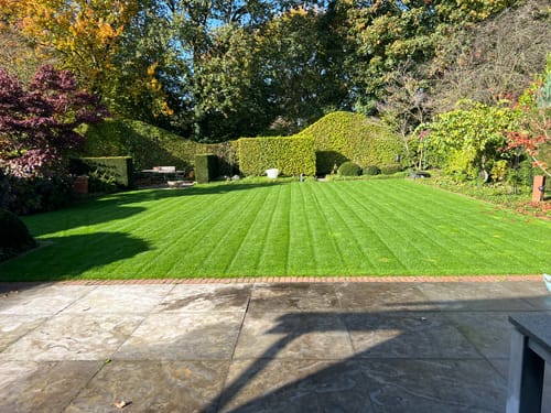 Customer photo review of Animatio Herbst-Rasendünger