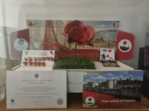 Fred review of Remembrance Cross Design Lapel Pin Badge image 1 out of 1