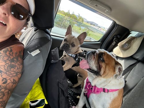 Customer photo review of Pawz Car Booster Seat Carry Bag