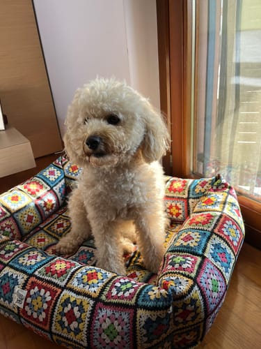 Customer photo review of Divanetto Crochet Squares Granny