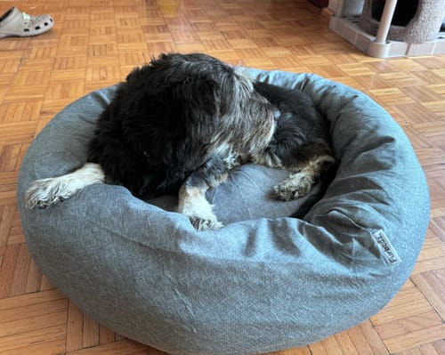 Customer photo review of Cama Antiestrés Para Perros
