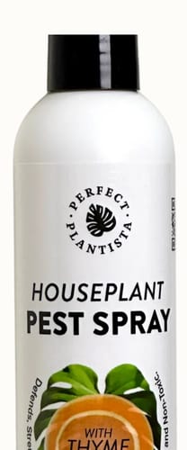 Customer photo review of Houseplant Pest Spray
