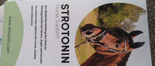 Customer photo review of Strotonin Horse Support