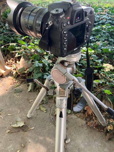 Customer photo review of MASTER CLASSIC