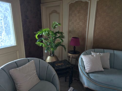 Customer photo review of إناء زرع ذهبي مع شجرة أريكا - FL92