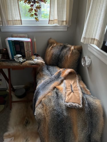 Customer photo review of Men's American Grey Fox Fur Scarf