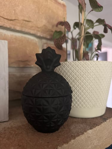 Customer photo review of Lost In Tropics
