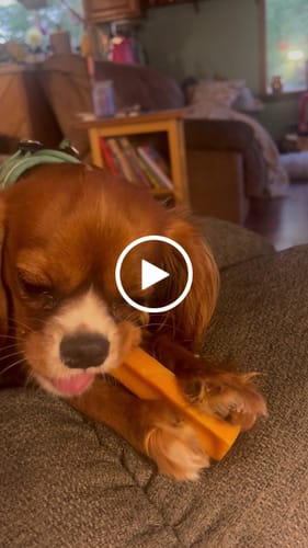 Customer video review of MIX FLAVORED (Strawberry, Banana, Pumpkin, & Blueberry): A PACK OF 4 STICKS