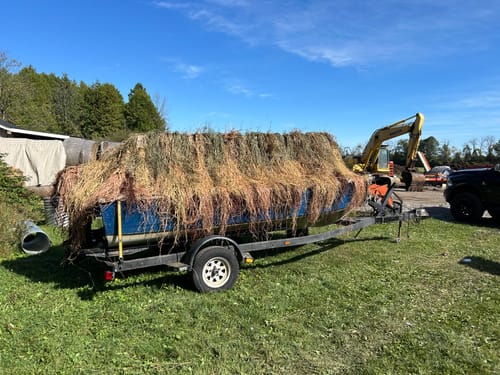 Customer photo review of Hunting Blind Raffia Grass (Pack)