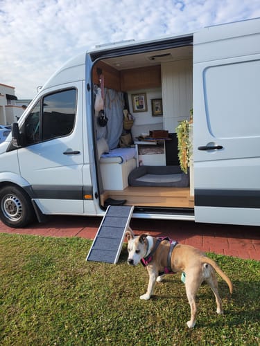 Customer photo review of PaWz Adjustable Dog Ramp