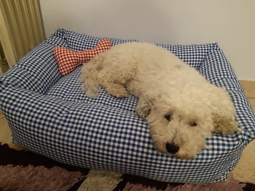 Customer photo review of Divanetto Cotone Vichy Rosso