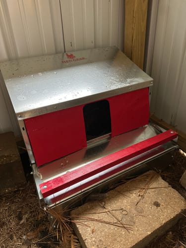 Customer photo review of Small (24") Reversible Rollout Nest Box (Up to 20 Hens)