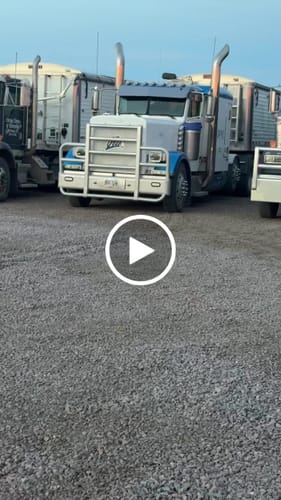 Customer video review of Absolute Acid