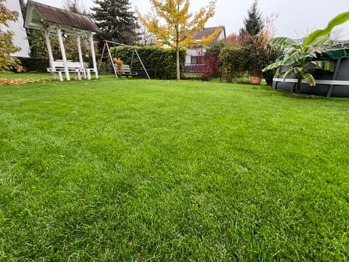 Customer photo review of Animatio® Profi-Rasendünger