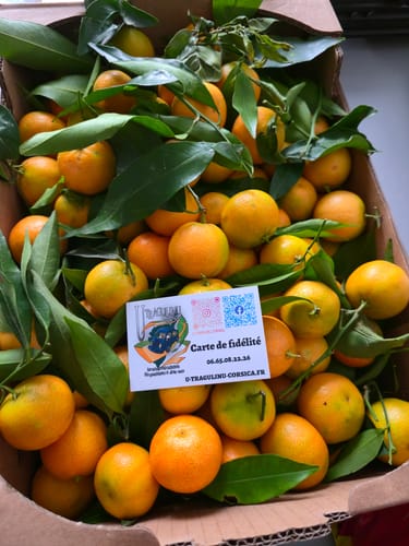 Stephane R. review of Clémentines Bio - Origine Corse image 1 out of 1