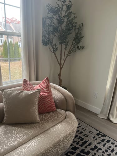 Customer photo review of Orange Zebra