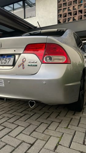 Customer photo review of Silver Heart Exhaust Tip: Stainless Steel Muffler Trim
