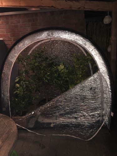 Customer photo review of Überwinterungszelt Arctic für Pflanzen in Anthrazit L 186 x B 84 x H 175 cm