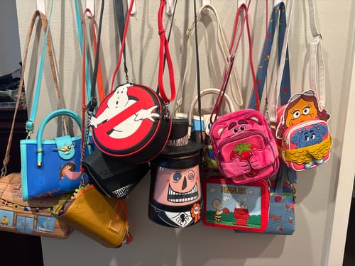 Customer photo review of Loungefly Crossbody Bag Mystery Box