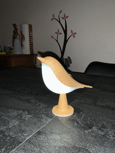 Customer photo review of BirdZen - Lampe de Chevet
