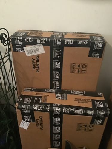 Customer photo review of 18" x 48" Raised Garden Bed