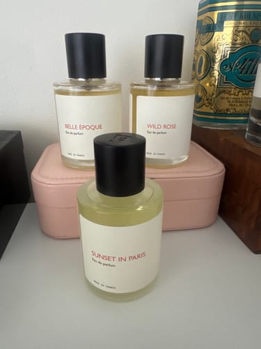 Customer photo review of Sunset in Paris