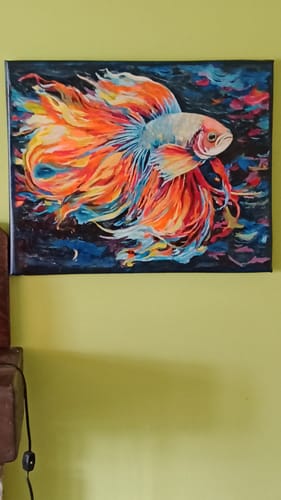Customer photo review of Rainbow Beta Fish