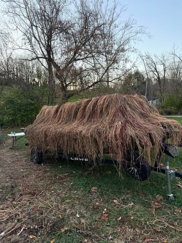 Customer photo review of Hunting Blind Raffia Grass (Pack)