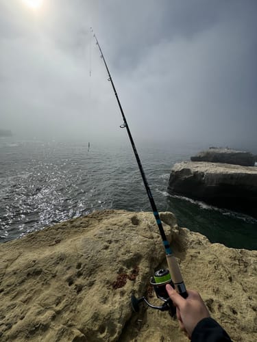 Customer photo review of 9'4" No Excuses Surf Travel Rod with Tube Medium-Heavy Action 3/4oz to 3oz