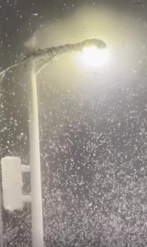Customer photo review of Snowfall Lamp