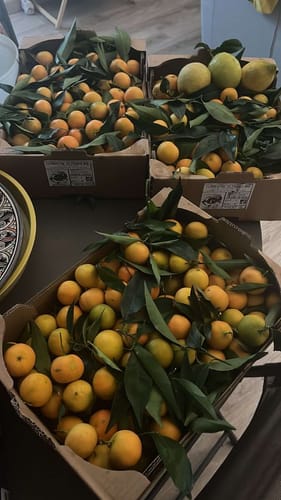 Jean-louis D. review of Citrons Bio - Origine Corse image 1 out of 1