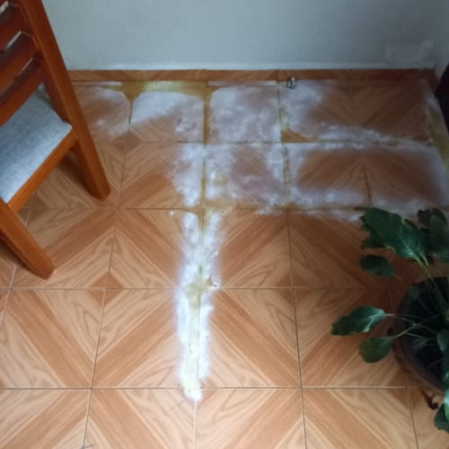 Customer photo review of Oh My Dog! Paq. Peludos - 2 Piezas de 850 grs + Envío GRATIS