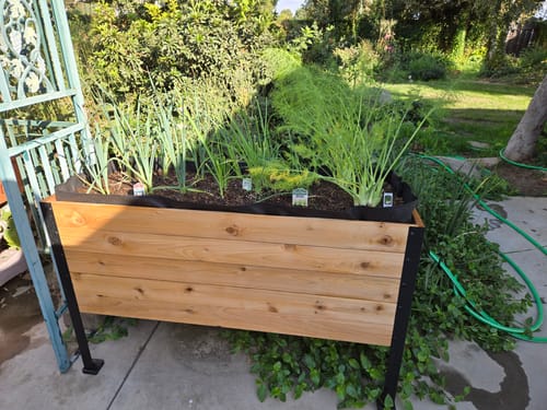 Customer photo review of 18" x 48" Raised Garden Bed
