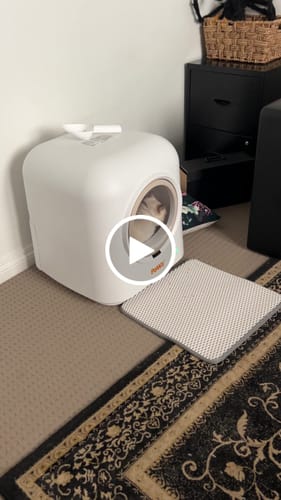 Customer video review of Pawz Smart Cat Litter Box Automatic Self Cleaning with App Remote Control