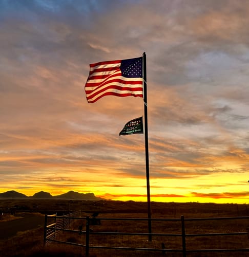Customer photo review of 8x12ft Sewn Nylon American Flag