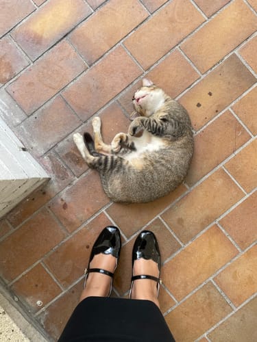 Customer photo review of Scallop Glossy Mary Jane