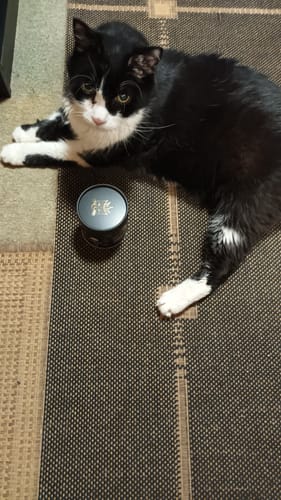 Customer photo review of Gelenk Gummies