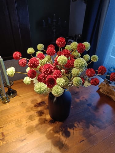 undefined review of Zijden Kiku Bloemen - Rood (10 stengels) image 1 out of 1