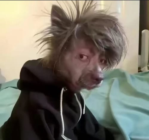 Customer photo review of Grape Ape - Looper Lifted Series XL Disposable