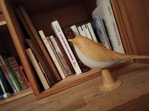 Customer photo review of BirdZen - Lampe de Chevet