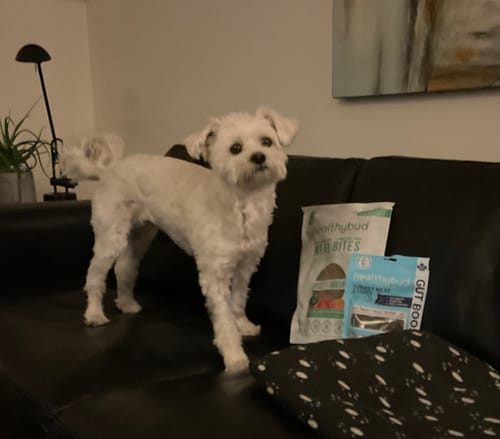 Customer photo review of Turkey Meal Bites