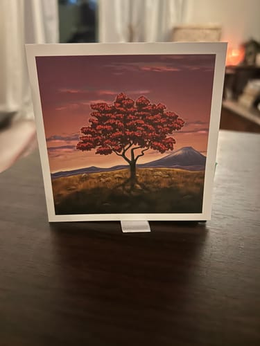 Customer photo review of Nano Pill Case