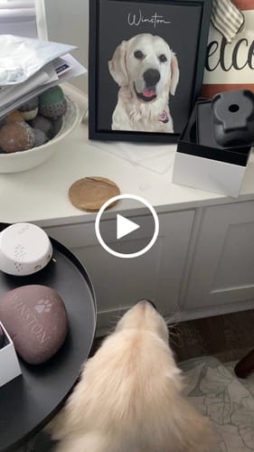 Customer video review of Pet Art Canvas Wrap