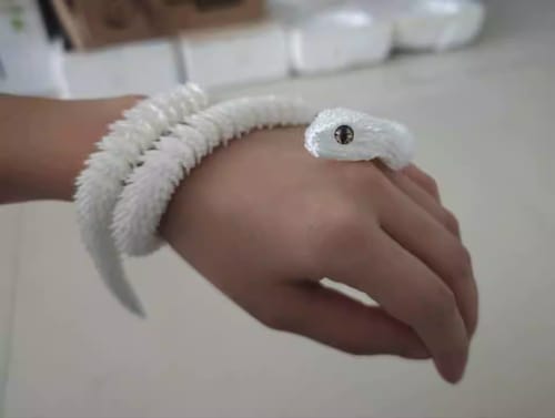 Customer photo review of 3D Printed Snake Sensory Fidget Toy