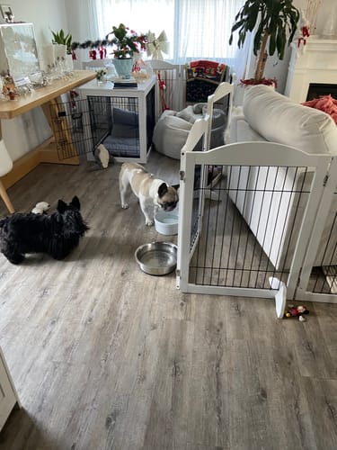 Customer photo review of PaWz 6 Panels Pet Playpen Pet Gate