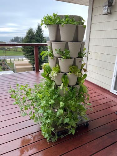 Customer photo review of 7-Tier Vertical Planter Basketweave