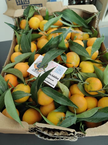 Agnes F. review of Clémentines Bio - Origine Corse image 1 out of 1