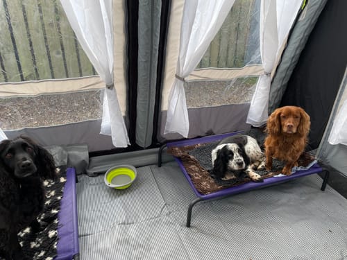Customer photo review of HiK9 Bed with Purple Mesh Cover