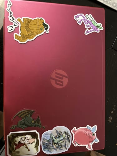 Customer photo review of Limited Edition “Frogoyle” Matte Clear Vinyl Sticker