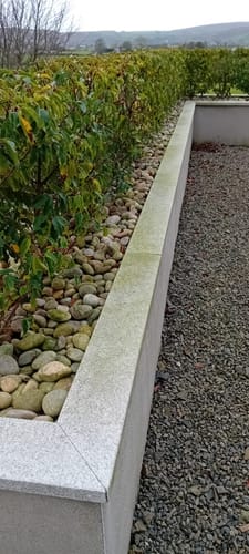 Customer photo review of Biocide Soft Wash Pro 50